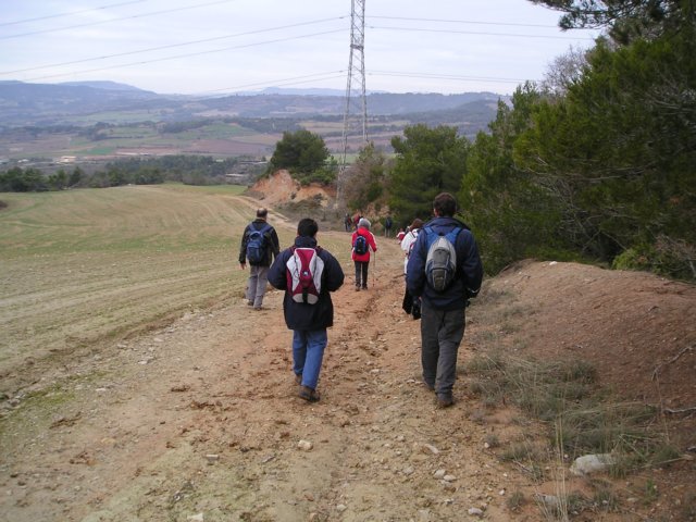 p1010033.jpg