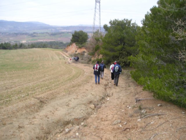 p1010034.jpg