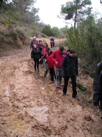 p1010042.jpg
