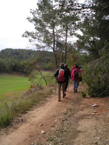 p1010055.jpg