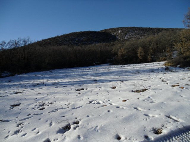 cimg0133.jpg