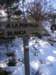 cimg0138_small.jpg
