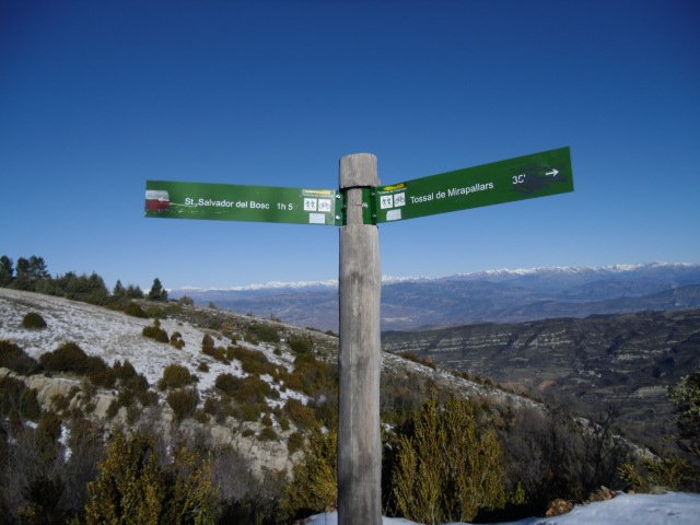 cimg0155.jpg