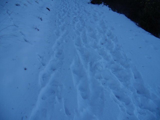 cimg0165.jpg