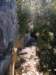 cimg0180_small.jpg