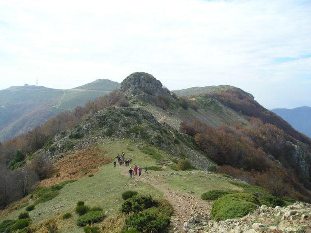 p1010018.jpg