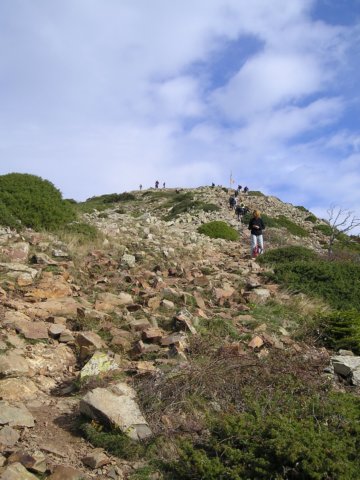 p1010023.jpg