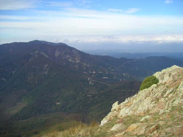 p1010033.jpg