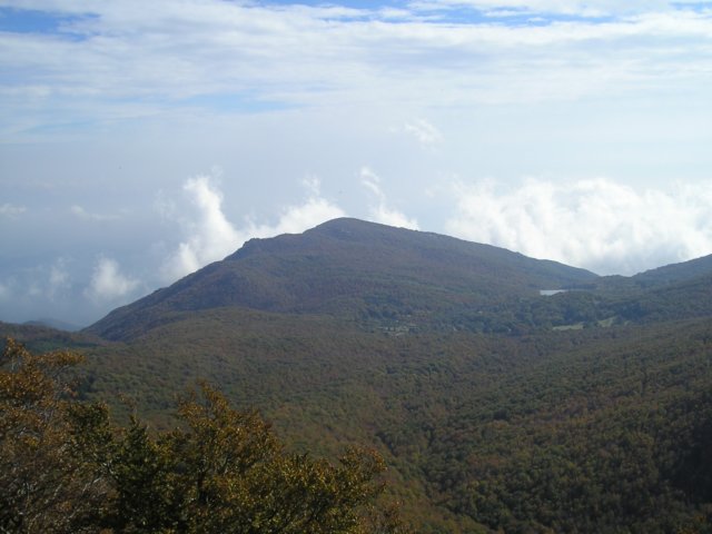 p1010038.jpg