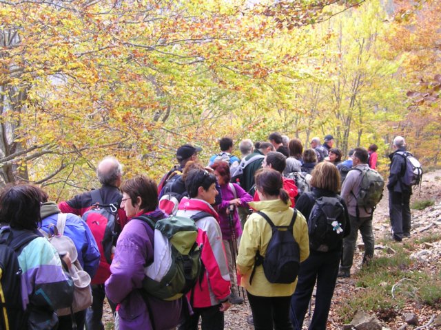 p1010042.jpg