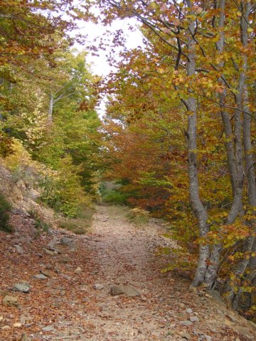 p1010043.jpg