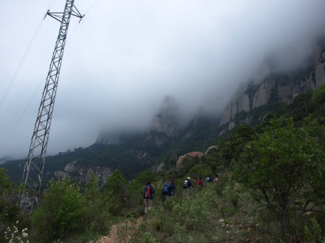 p5092628.jpg