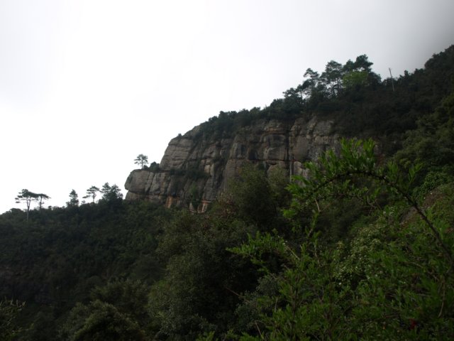 p5092633.jpg