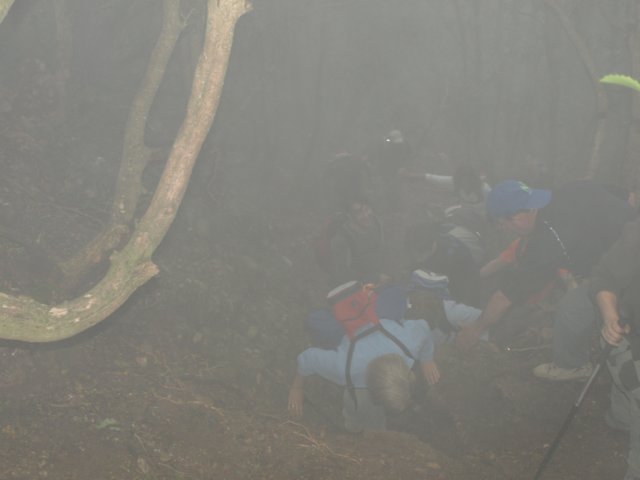 p5092649.jpg
