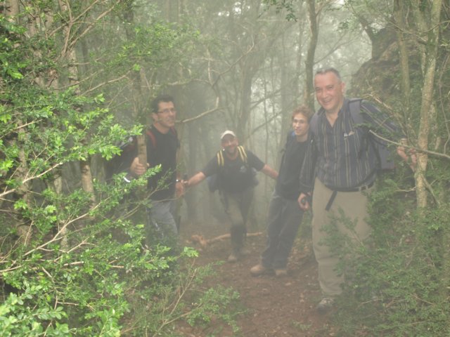p5092650.jpg