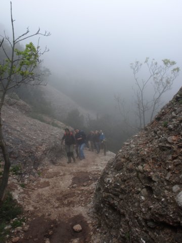 p5092656.jpg