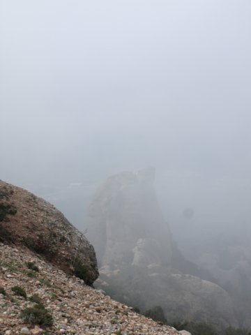 p5092668.jpg