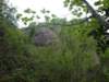 p5092698_small.jpg