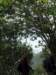 p5092701_small.jpg