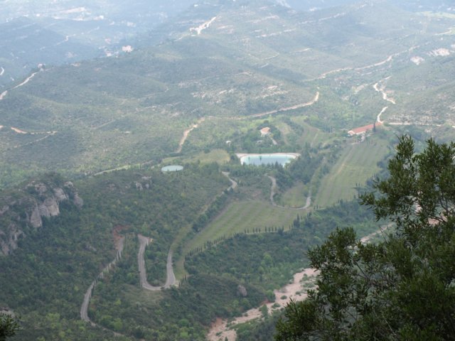 p5092703.jpg