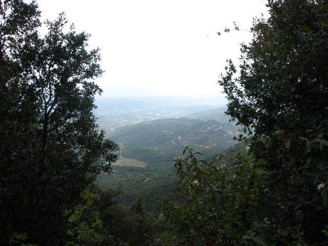 p5092706.jpg