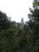 p5092707_small.jpg