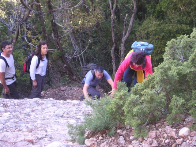 p1010377.jpg