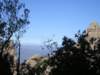 p1010384_small.jpg