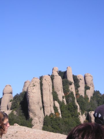 p1010395.jpg