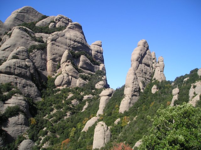 p1010407.jpg