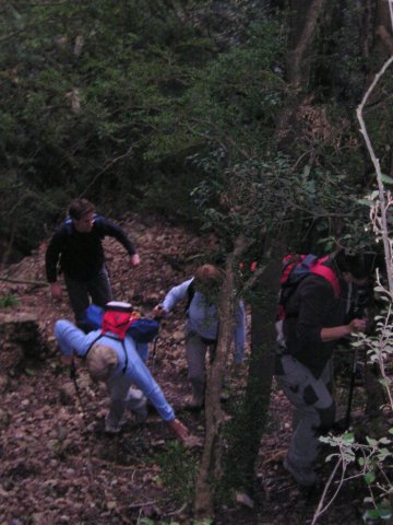 p1010009.jpg