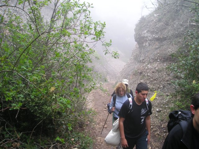 p1010026.jpg