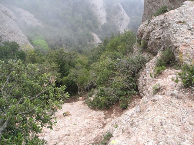 p1010065.jpg
