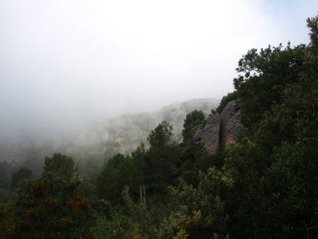 p5100700.jpg