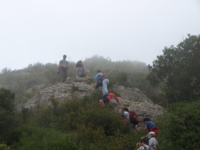p5100708.jpg
