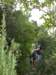 p5100717_small.jpg