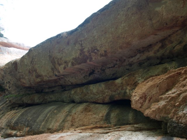 p5100721.jpg