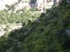 p5100723_small.jpg