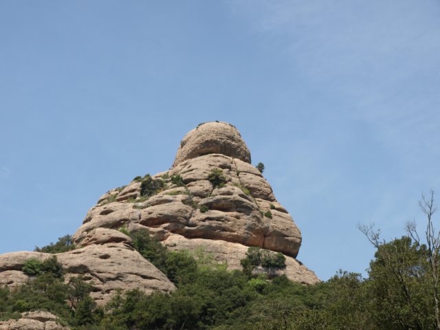 p5100768.jpg