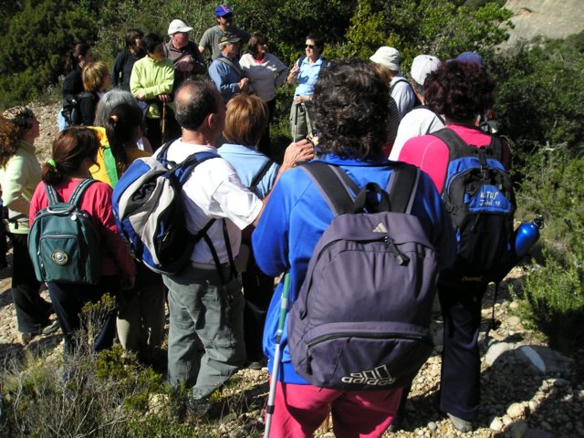 p1010052.jpg