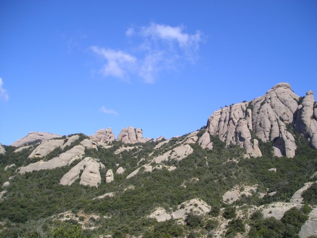 p1010057.jpg