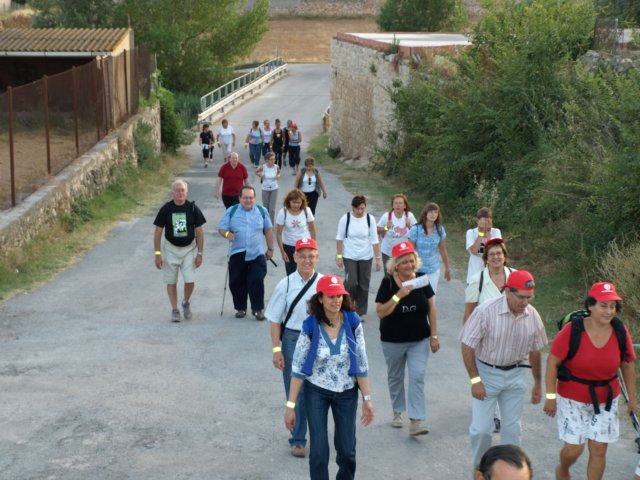 p7041127.jpg