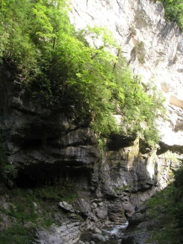 p1010247.jpg