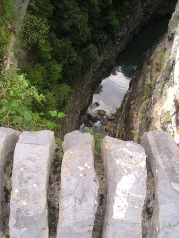 p1010255.jpg