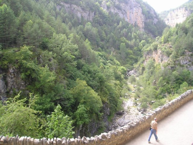 p1010264.jpg