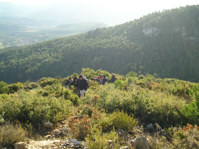 p1010009.jpg