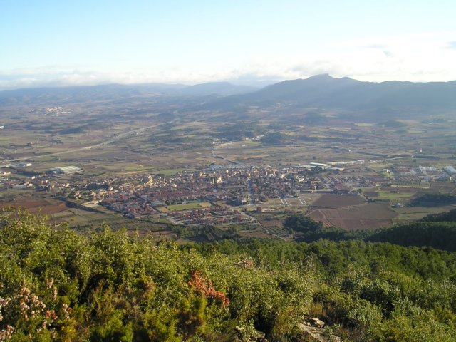 p1010010.jpg