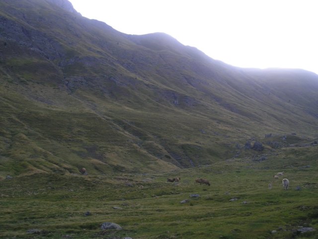p1010041.jpg