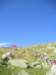 p1010059_small.jpg