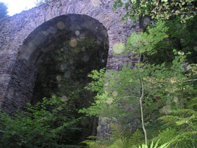 p1010003.jpg